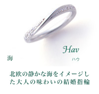 Hav ハウ 海