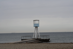 10.21-2.gif